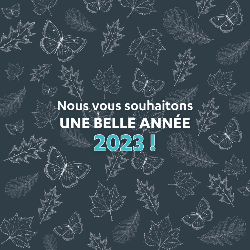Belle année 2023 !