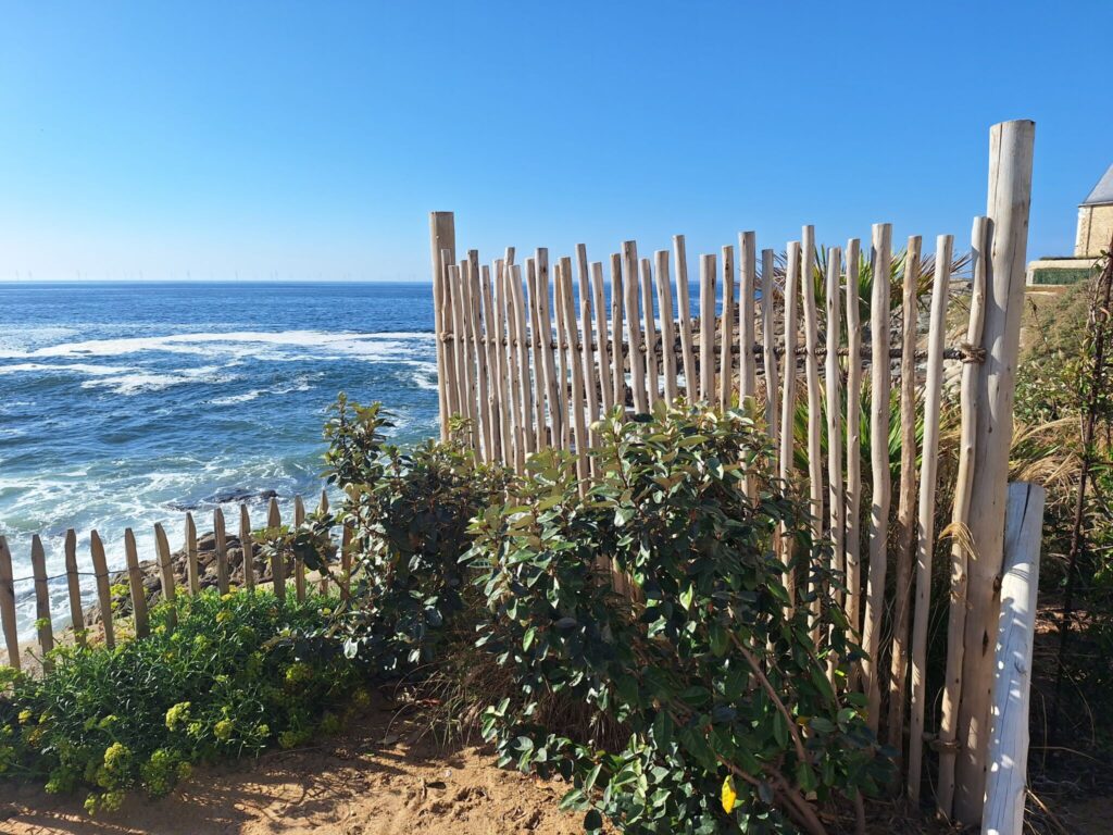 Clôture de jardin et biodiversité : comment délimiter votre espace tout en préservant la faune ?